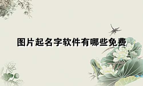 图片起名字软件有哪些免费