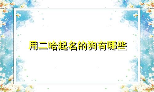 用二哈起名的狗有哪些