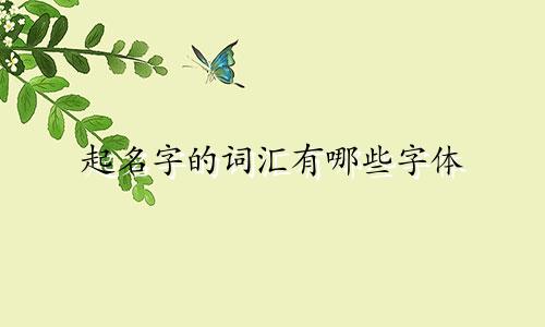 起名字的词汇有哪些字体