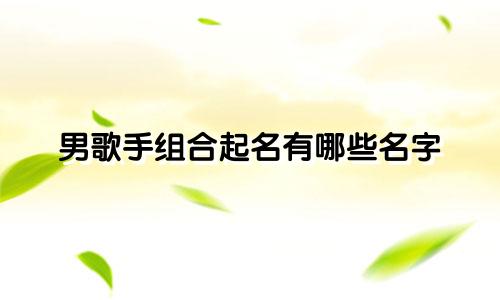 男歌手组合起名有哪些名字
