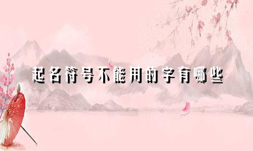 起名符号不能用的字有哪些