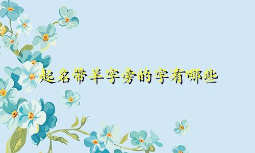 起名带羊字旁的字有哪些