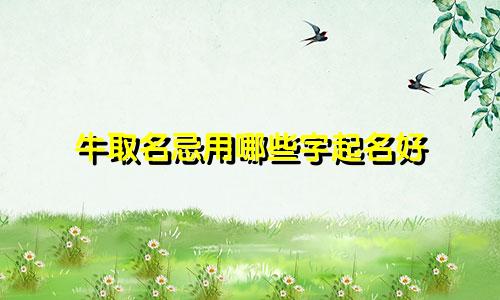 牛取名忌用哪些字起名好
