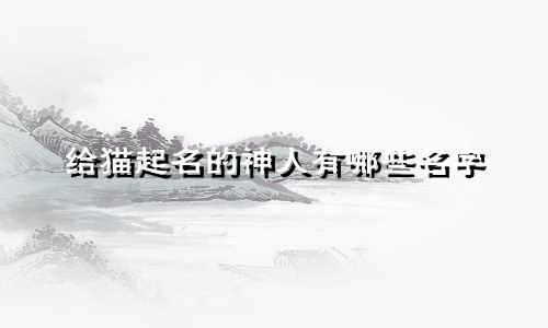 给猫起名的神人有哪些名字