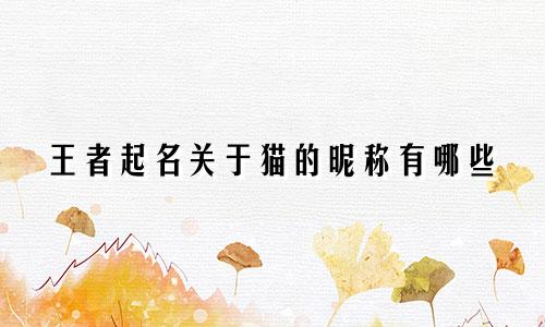 王者起名关于猫的昵称有哪些