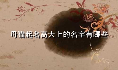 母猫起名高大上的名字有哪些