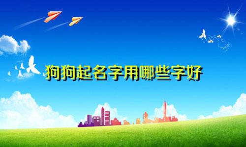 狗狗起名字用哪些字好