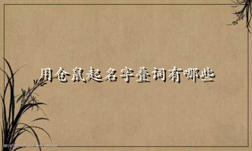 用仓鼠起名字叠词有哪些