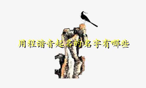 用程谐音起名的名字有哪些