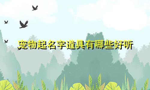 宠物起名字道具有哪些好听