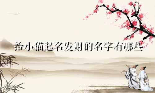 给小猫起名发财的名字有哪些