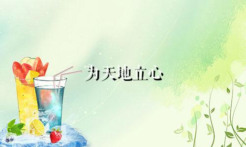 为天地立心 起名的人有哪些
