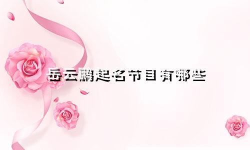 岳云鹏起名节目有哪些