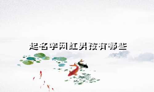 起名字网红男孩有哪些