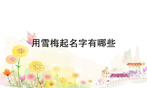 用雪梅起名字有哪些