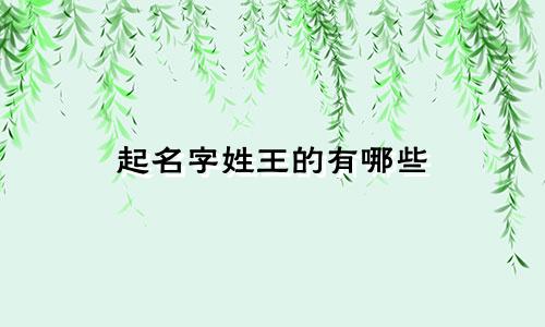 起名字姓王的有哪些