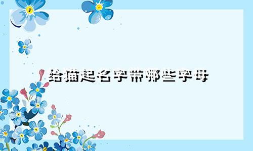 给猫起名字带哪些字母
