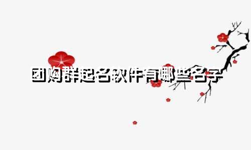 团购群起名软件有哪些名字