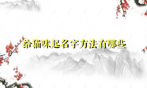 给猫咪起名字方法有哪些