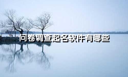 问卷调查起名软件有哪些