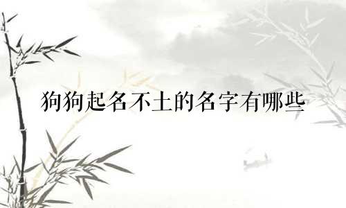 狗狗起名不土的名字有哪些