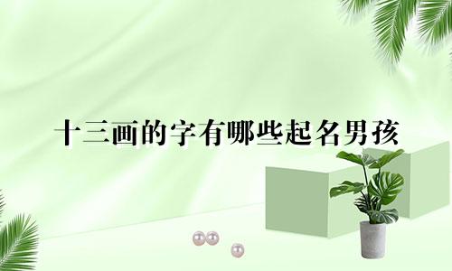 十三画的字有哪些起名男孩