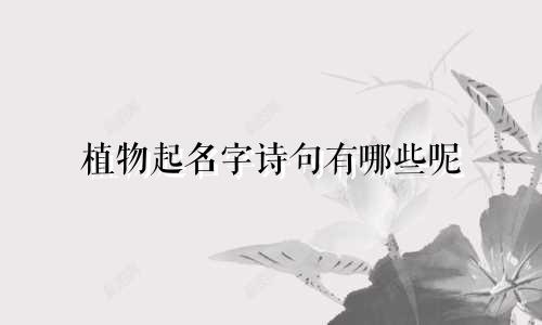 植物起名字诗句有哪些呢