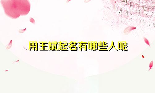 用王斌起名有哪些人呢