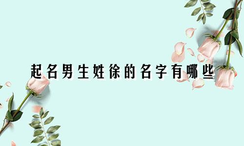 起名男生姓徐的名字有哪些