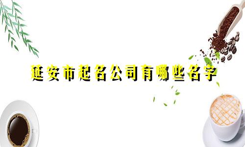 延安市起名公司有哪些名字