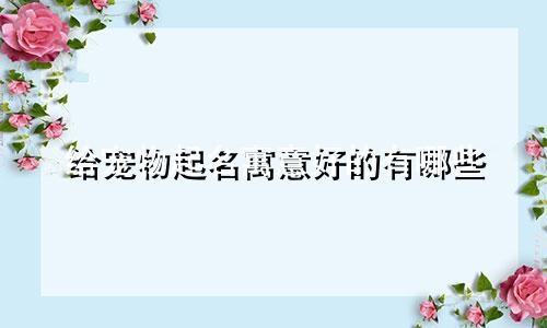 给宠物起名寓意好的有哪些
