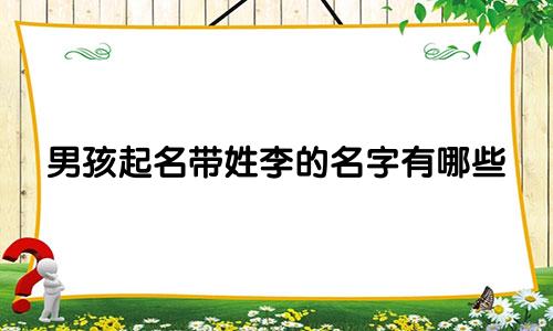男孩起名带姓李的名字有哪些