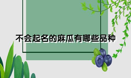 不会起名的麻瓜有哪些品种