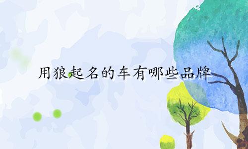 用狼起名的车有哪些品牌