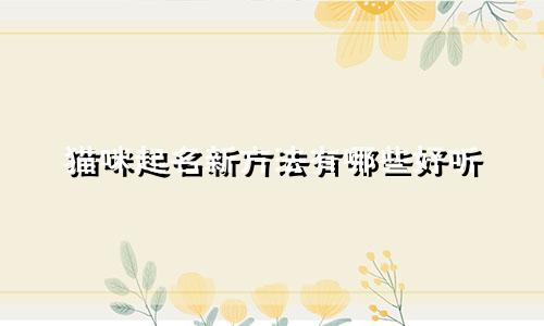 猫咪起名新方法有哪些好听