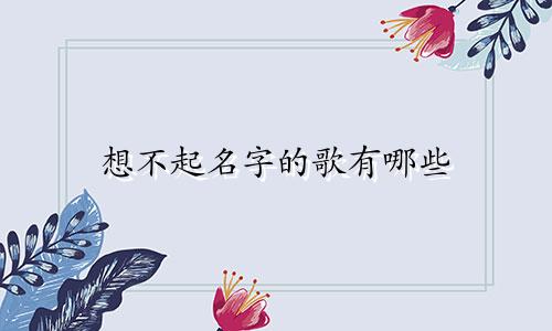 想不起名字的歌有哪些