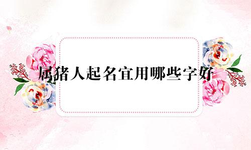 属猪人起名宜用哪些字好
