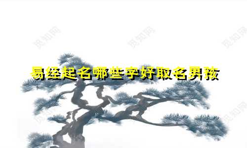 易经起名哪些字好取名男孩