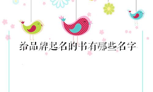 给品牌起名的书有哪些名字
