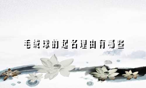 毛绒球的起名理由有哪些