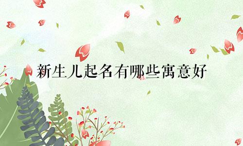 新生儿起名有哪些寓意好