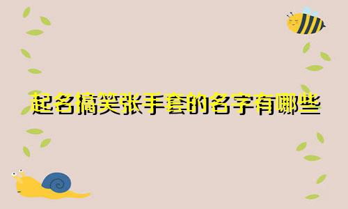 起名搞笑张手套的名字有哪些