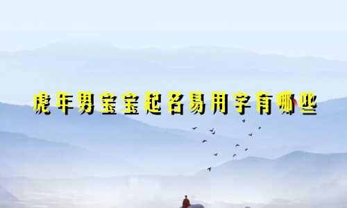 虎年男宝宝起名易用字有哪些