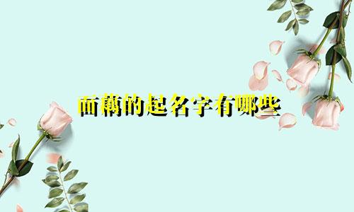 面藕的起名字有哪些