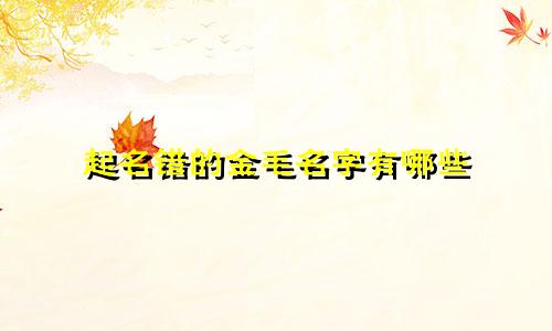 起名错的金毛名字有哪些