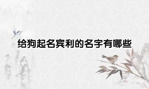 给狗起名宾利的名字有哪些