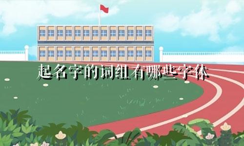 起名字的词组有哪些字体