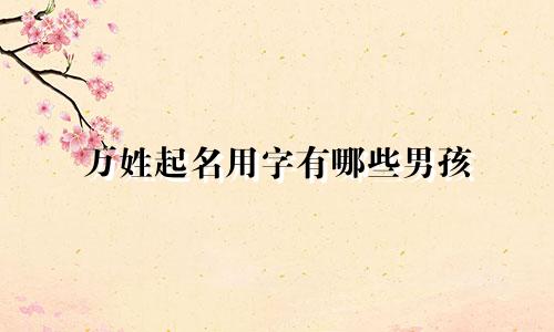 万姓起名用字有哪些男孩