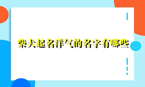 柴犬起名洋气的名字有哪些