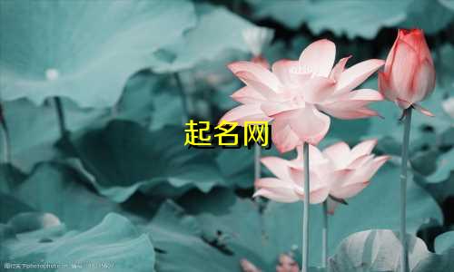 起名网 小程序有哪些名字